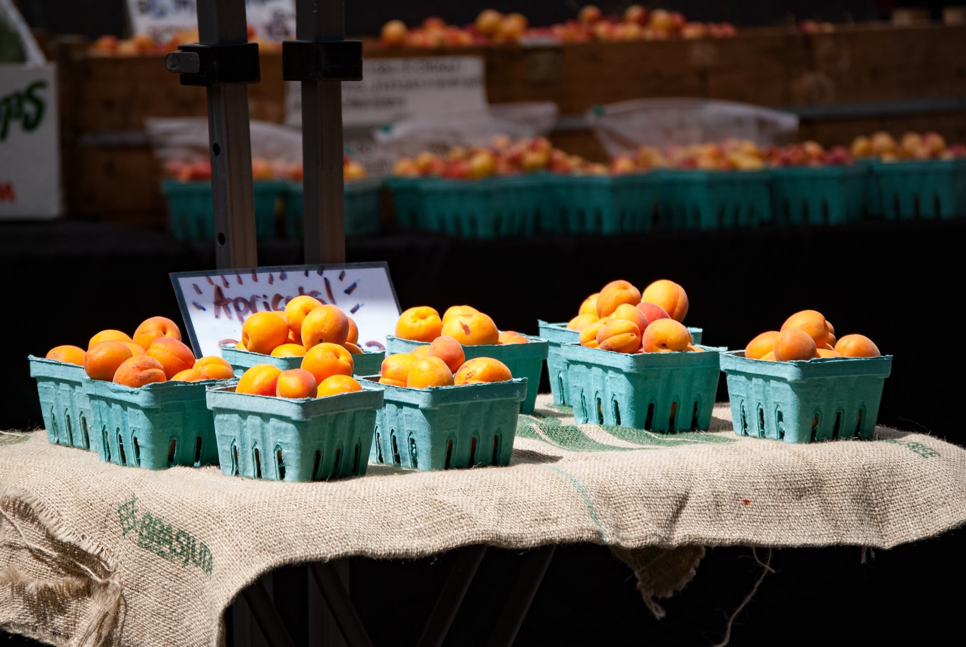 apricots at farmers market